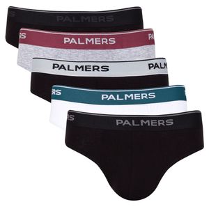 Pack 5 Slip Elastico A La Vista Algodón Palmers Hombre P5107C72